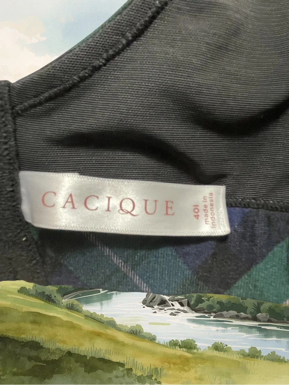 CACIQUE Women's 40I NWOT Lightly Lined Balconette Bra Plaid Tartan Lace Green - Picture 9 of 10